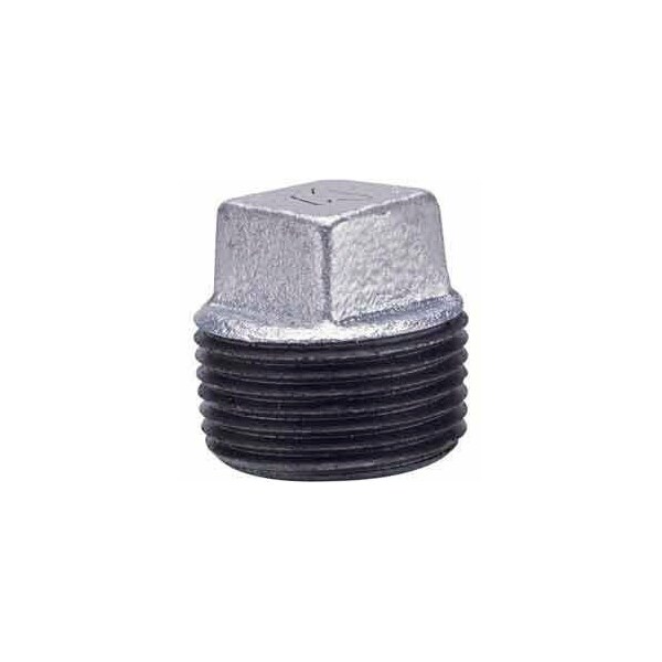 Anvil 2 In Galvanized Malleable Cored Plug 150 PSI Lead Free 819902578 - main